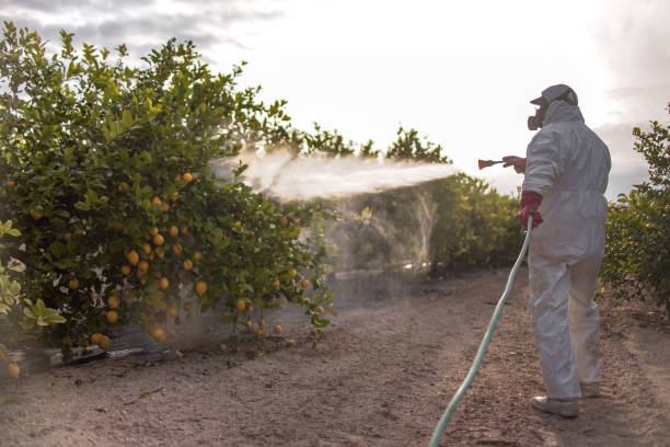 Best Best Pest Control Companies  in Oak Grove, TN