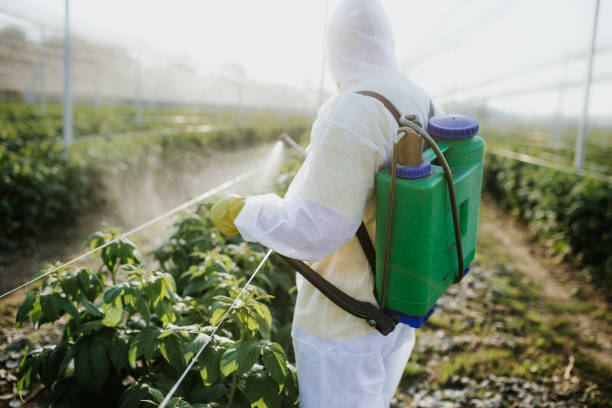 Best Best Pest Control Companies  in Oak Grove, TN